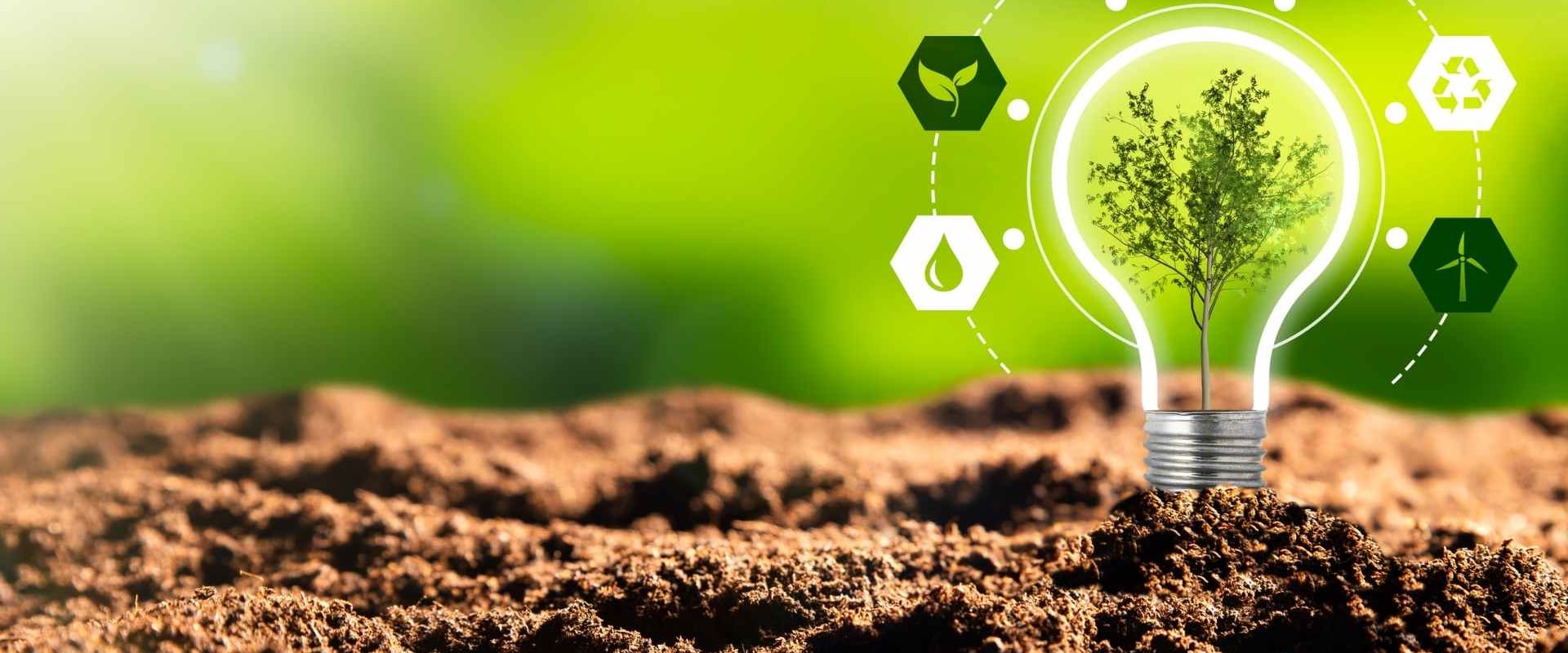 Eco-Friendly Product Innovations: How to Start and Grow a Profitable Green Business